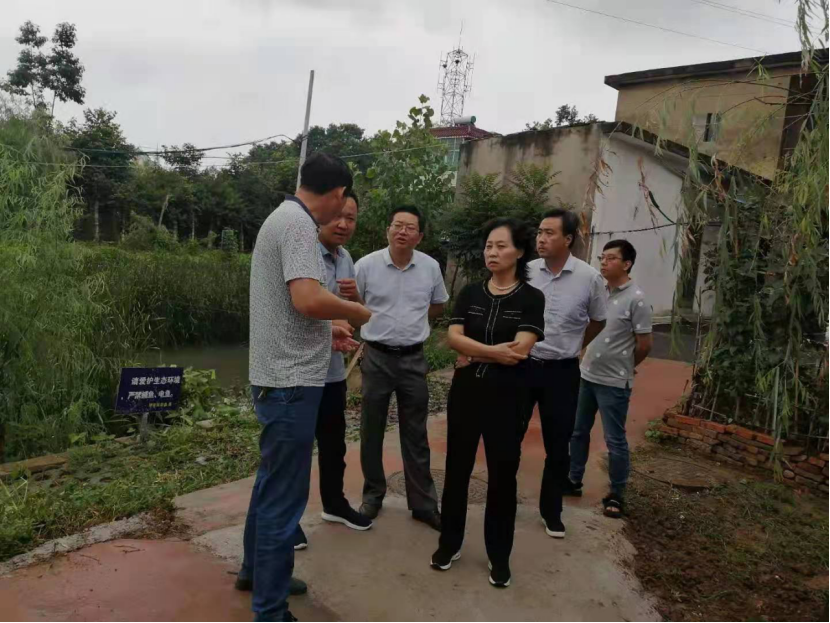 45b0d5ca317a76a1edafaf64f425184 45b0d5ca317a76a1edafaf64f425184